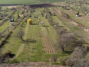 Prodej sadu/vinice, Strážnice, 4353 m2