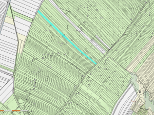 Prodej sadu/vinice, Strážnice, 4353 m2