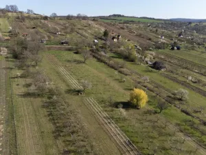 Prodej sadu/vinice, Strážnice, 4353 m2