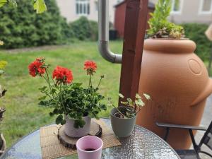 Prodej činžovního domu, Ústí nad Labem, Sukova, 400 m2