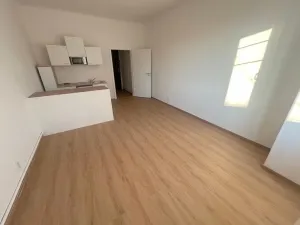Pronájem bytu 1+kk, Praha - Vinohrady, Soběslavská, 30 m2