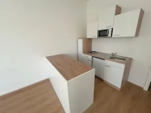 Pronájem bytu 1+kk, Praha - Vinohrady, Soběslavská, 30 m2