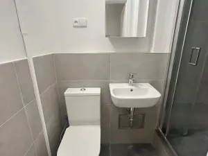 Pronájem bytu 1+kk, Praha - Vinohrady, Soběslavská, 30 m2