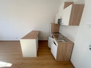 Pronájem bytu 1+kk, Praha - Vinohrady, Soběslavská, 28 m2