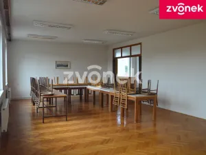 Pronájem obchodního prostoru, Bystřice pod Hostýnem, 270 m2