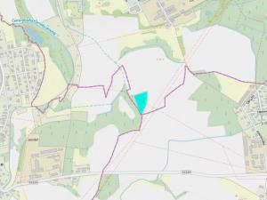 Prodej lesa, Lázně Bohdaneč, 7167 m2