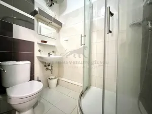 Pronájem bytu 1+kk, Praha - Nové Město, Vodičkova, 31 m2