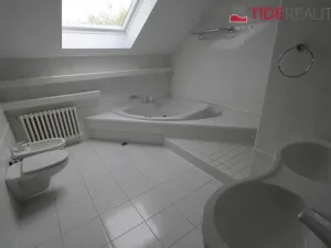 Pronájem bytu 6+kk a větší, Praha - Braník, Psohlavců, 290 m2
