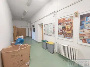 Pronájem skladu, Krnov - Pod Bezručovým vrchem, Albrechtická, 100 m2