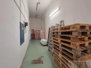 Pronájem skladu, Krnov - Pod Bezručovým vrchem, Albrechtická, 100 m2