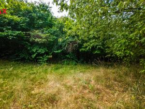 Prodej pozemku pro bydlení, Petrov - Chlomek, Zalomená, 1500 m2