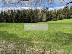Prodej louky, Volary, 89843 m2
