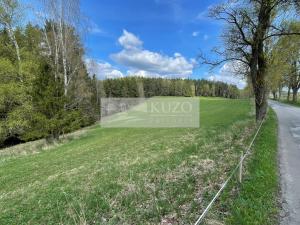 Prodej louky, Volary, 89843 m2