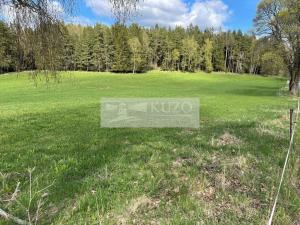 Prodej louky, Volary, 89843 m2