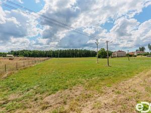 Prodej pozemku pro bydlení, Vítězná - Kocléřov, 13646 m2