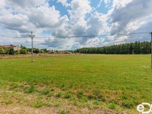 Prodej pozemku pro bydlení, Vítězná - Kocléřov, 13646 m2