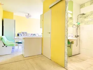 Prodej bytu 2+1, Brno, Kunštátská, 58 m2