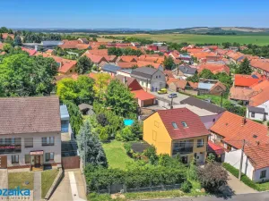 Prodej rodinného domu, Křepice, 244 m2