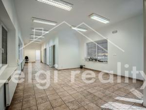 Pronájem komerční nemovitosti, Valtice, 1192 m2