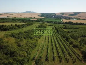 Prodej sadu/vinice, Starovice, 2166 m2