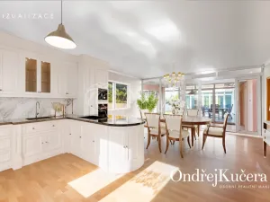 Prodej rodinného domu, Brandýs nad Labem-Stará Boleslav - Brandýs nad Labem, Na dolence, 435 m2