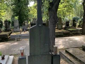 Prodej - jiné, Praha, Vinohradská, 5 m2