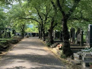 Prodej - jiné, Praha, Vinohradská, 5 m2