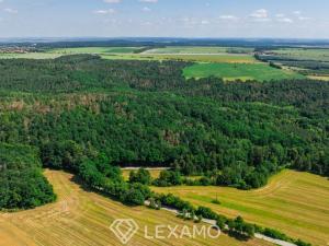 Prodej rodinného domu, Horní Břečkov - Čížov, 230 m2