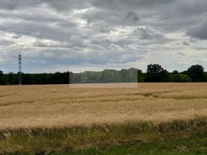 Prodej bytu 3+kk, Mladá Boleslav - Michalovice, 101 m2