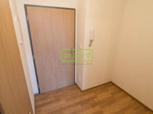 Pronájem bytu 1+kk, Praha, Rychtáře Petříka, 34 m2
