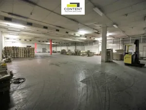 Pronájem skladu, Most - Velebudice, Obchodní, 1000 m2