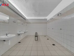 Prodej ubytování, Vysoká Srbská, 900 m2