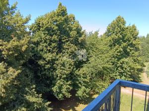 Prodej bytu 2+kk, Milovice - Mladá, Braniborská, 42 m2