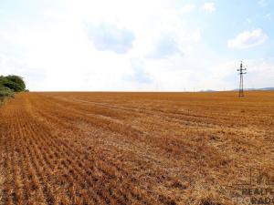 Prodej komerčního pozemku, Staré Město, 3106 m2