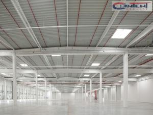 Pronájem výrobních prostor, Ostrava - Vítkovice, Halasova, 5195 m2