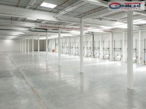 Pronájem výrobních prostor, Ostrava - Vítkovice, Halasova, 5195 m2