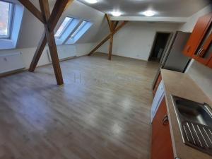 Pronájem bytu 2+kk, Ústí nad Labem - Ústí nad Labem-centrum, Jateční, 75 m2