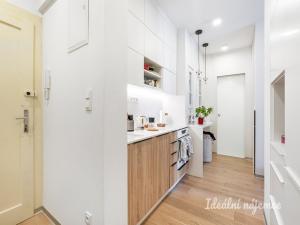 Pronájem bytu 2+kk, Praha - Žižkov, Lucemburská, 42 m2