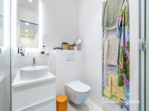 Pronájem bytu 2+kk, Praha - Žižkov, Lucemburská, 42 m2