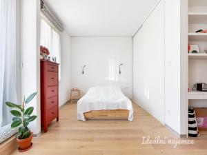 Pronájem bytu 2+kk, Praha - Žižkov, Lucemburská, 42 m2