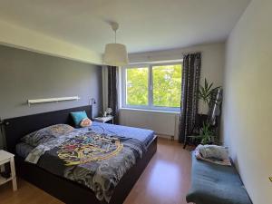 Prodej bytu 3+kk, Hradec Králové, třída Edvarda Beneše, 96 m2
