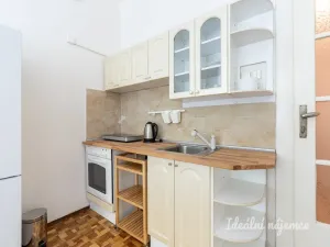 Pronájem bytu 1+kk, Praha - Vinohrady, Soběslavská, 20 m2