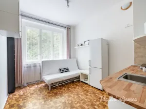 Pronájem bytu 1+kk, Praha - Vinohrady, Soběslavská, 20 m2