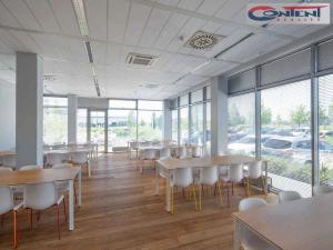 Pronájem skladu, Ostrava - Hrabová, K Zyfu, 1747 m2