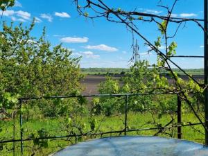 Prodej chaty, Lužice, 31 m2