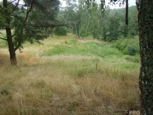 Prodej zahrady, Krušovice, 2700 m2