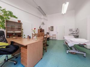 Pronájem ordinace, Praha - Staré Město, Národní, 320 m2