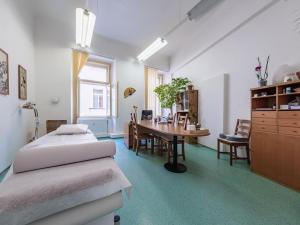 Pronájem ordinace, Praha - Staré Město, Národní, 320 m2