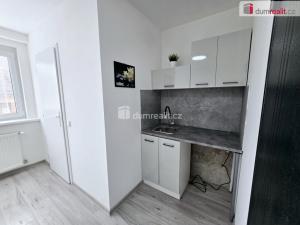 Pronájem bytu 1+kk, Lužná, Nová, 20 m2