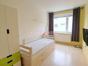 Pronájem bytu 4+kk, Brno, Kamechy, 120 m2